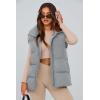 imagePRETTYGARDEN Womens Puffer Jacket Vests Casual Sleeveless Stand Collar Zip Up Coats Warm Winter OuterwearLight Grey