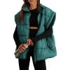 imagePRETTYGARDEN Womens Puffer Vest Fall Casual Stand Collar Lightweight Sleeveless Zip Up Padded Jackets OuterwearDark Green