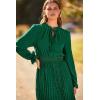 imagePRETTYGARDEN Womens 2025 Spring Fall Midi Dress Casual Long Sleeve V Neck Swiss Dot Pleated A Line Flowy DressesDark Green