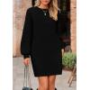 imagePRETTYGARDEN Womens Winter Pullover Sweaters Long Lantern Sleeve Crewneck Chunky Knit Slouchy Oversized Sweater DressBlack