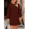 imagePRETTYGARDEN Womens Winter Pullover Sweaters Long Lantern Sleeve Crewneck Chunky Knit Slouchy Oversized Sweater DressCoffee
