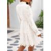 imagePRETTYGARDEN Womens Spring 2025 Long Puff Sleeve Mini Dress Hollow Out Lace V Neck A Line Ruffle Casual Party DressesWhite