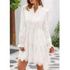imagePRETTYGARDEN Womens Spring 2025 Long Puff Sleeve Mini Dress Hollow Out Lace V Neck A Line Ruffle Casual Party DressesWhite