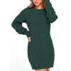 imagePRETTYGARDEN Womens Winter Long Sleeve Short Sweater Dress Chunky Ribbed Knit Tunic Pullover Oversized Fall SweatersDark Green