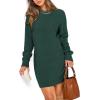 imagePRETTYGARDEN Womens Winter Long Sleeve Short Sweater Dress Chunky Ribbed Knit Tunic Pullover Oversized Fall SweatersDark Green