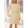imagePRETTYGARDEN Womens Long Sleeve Dresses Spring Fall Casual Short Belted Dress Trendy Quilted Outfits with PocketsBeige