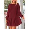 imagePRETTYGARDEN Womens Patchwork Sweatshirt Dress Spring Casual Long Sleeve Crewneck Pullover Cute Babydoll Mini DressesWine Red