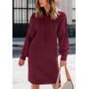 imagePRETTYGARDEN Womens Sweater Dress Fall Winter Casual Long Sleeve Pullover Chunky Knit Loose Oversized Hoodie Tunic SweatersWine Red
