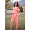imagePRETTYGARDEN Women Fall 2 Piece Lounge Outfit Long Sleeve Tops High Waisted Jogger Pants Set Spring Travel Clothes TracksuitPink