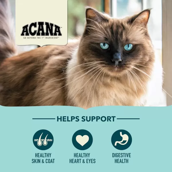 imageACANA PREMIUM PATE Wet Cat Food for Kittens High Protein Chicken and Tuna in Bone Broth Recipe 3 oz Case of 24ACANA Cat Bountiful Catch 10 Pound Pack of 1