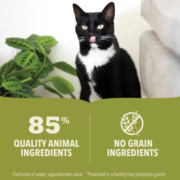 imageACANA PREMIUM PATE Wet Cat Food for Kittens High Protein Chicken and Tuna in Bone Broth Recipe 3 oz Case of 24Wet Food Beef Chicken amp Tuna 3 Ounce Pack of 1