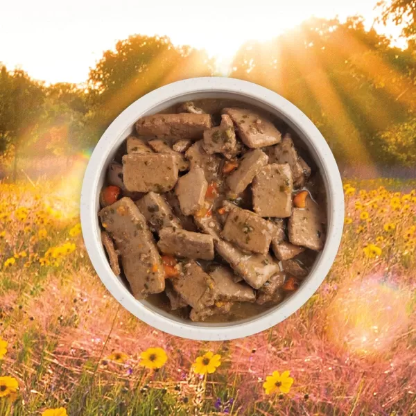 imageACANA Premium Chunks Wet Dog Food Beef Recipe in Bone Broth 128oz Case of 12Wet Food Beef 128 Ounce Pack of 12
