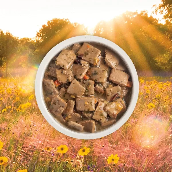 imageACANA Premium Chunks Wet Dog Food Beef Recipe in Bone Broth 128oz Case of 12Wet Food Duck 128 Ounce Pack of 12