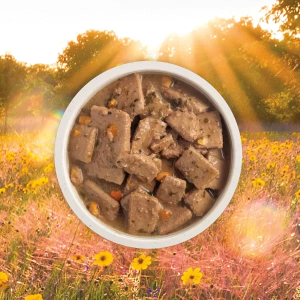imageACANA Premium Chunks Wet Dog Food Beef Recipe in Bone Broth 128oz Case of 12Wet Food Poultry 128 Ounce Pack of 12
