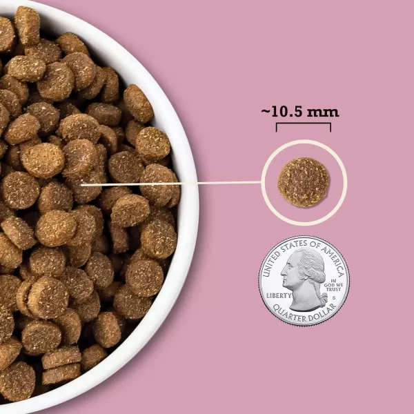 imageACANA Wholesome Grains Dry Dog Food Red Meat and Grains Gluten Free Beef Pork and Lamb Recipe 225lbSmall Breed 4 Pound Pack of 1