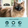 imageACANA Bountiful Catch Dry Cat Food for Adult Cats Salmon and Whole Herring Recipe Fish Cat Food 10lbBountiful Catch