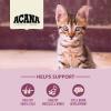 imageACANA Bountiful Catch Dry Cat Food for Adult Cats Salmon and Whole Herring Recipe Fish Cat Food 10lbFirst Feast