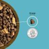 imageACANA Grain Free Dry Dog Food Freshwater Fish Dog Food Recipe 45lbButchers Favorites  Salmon