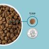 imageACANA Grain Free Dry Dog Food Freshwater Fish Dog Food Recipe 45lbFreshwater Fish