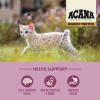 imageACANA Highest Protein Grasslands GrainFree Dry Cat Food Duck FreeRun Chicken and Eggs Cat Food Recipe 4lbKitten
