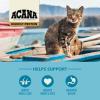 imageACANA Highest Protein Grasslands GrainFree Dry Cat Food Duck FreeRun Chicken and Eggs Cat Food Recipe 4lbWild Atlantic