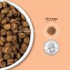 imageACANA Wholesome Grains Dry Dog Food Large Breed Adult Recipe Poultry Dog Food 225lbPuppy