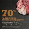 imageACANA Highest Protein Dry Dog Food Wild Atlantic Fish Recipe 45lbAppalachian Ranch