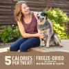 imageChewy Strips Dog Treats Salmon High Protein Dog Treats 4ozDuck  Pear