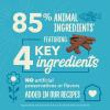 imageChewy Strips Dog Treats Salmon High Protein Dog Treats 4ozSalmon