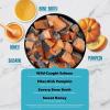 imageChewy Strips Dog Treats Salmon High Protein Dog Treats 4ozSalmon